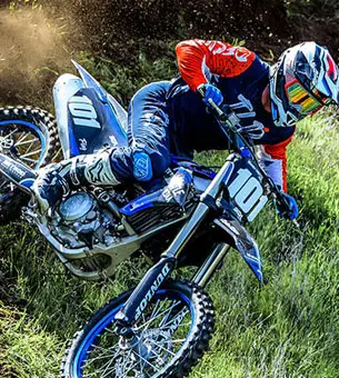 TLD Pants