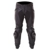 Dainese Delta Pro C2 Black Leather Motorcycle Pants Front                                                                                                                                                                                                      