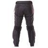Dainese Delta Pro C2 Black Leather Motorcycle Pants Rear                                                                                                                                                                                                       