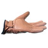 Frank Thomas Brown Motorcycle Modica Gloves Little finger side                                                                                                                                                                                                 