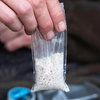 Nash Fast Melt PVA bags Small S