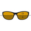 Fortis Wraps Switch Photochromic Photochromic