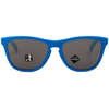 Oakley Frogskins Sunglasses Hi Res Blue Prizm Black No Size