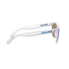 Oakley Frogskins Sunglasses Clear Prizm Sapphire One size