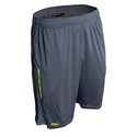 APEarel CoolTech Shorts Grey