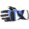 Frank Thomas Dynamic II Gloves Black Blue