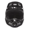 Fox V2 Nobyl Helmet Black