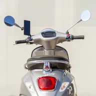 Mirror Mount Pro