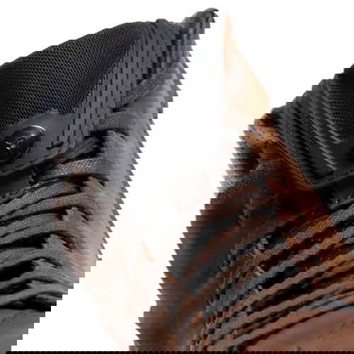 Dainese Metractive D-WP Shoes Brown