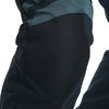 Dainese Carve Master 3 Gore-Tex Pants Black Ebony
