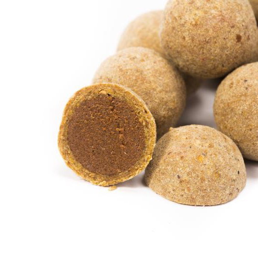Scopex Squid Cultured Hookbaits