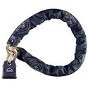 Colossus Chain & Padlock