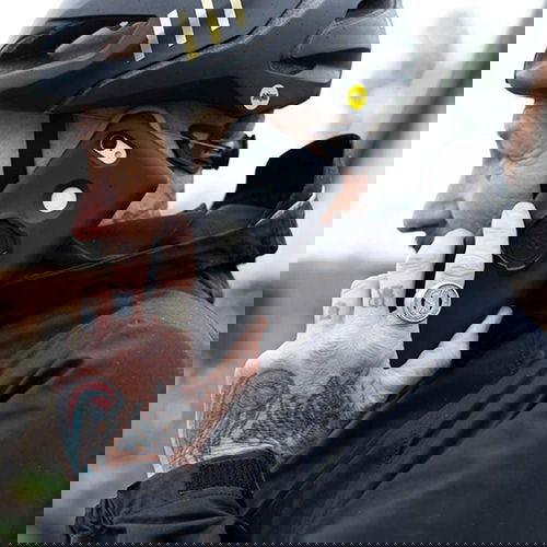 Quad Lock Case - Google Pixel 6 Pro