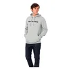 Alpinestars Alpinestars Linear Hoodie Grey Heather - Thumbnail 3