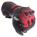 Raptor 2.0 Kang Gloves Black Red
