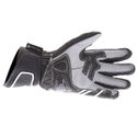 Raptor 2.0 Kang Gloves Black White