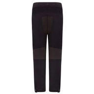 Ascent V3 CE Pants Black Green