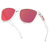 Oakley Frogskins Sunglasses Crystal Clear Crystal Clear