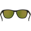 Oakley Frogskins Sunglasses Black Ink Black Ink