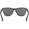 Oakley Frogskins 35th Sunglasses Matte Black Matte Black