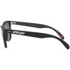 Oakley Frogskins 35th Sunglasses Matte Black Matte Black