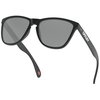 Oakley Frogskins 35th Sunglasses Matte Black Matte Black