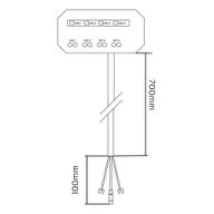 Junction Box 12V Fused Power