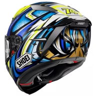 X-SPR Pro Helmet Daijiro TC3