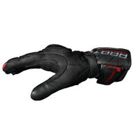 Raptor Ignition Gloves Black Red