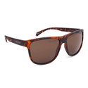 Sahara Tortoise Frame Sunglasses Brown Lens