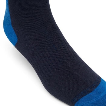 Fox Fox 180 Core Socks Blue Jewel