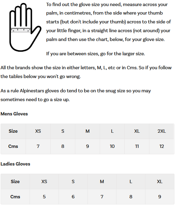 Alpinestars - 2023 Techstar Black/Silver Gloves - AMA Warehouse
